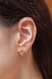 Brinco Arruda P Dourado