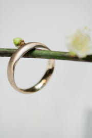 Aliança Natural 4mm
