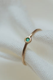 Anel Conexão Pétit Paraíba