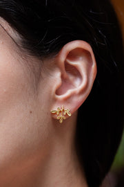 Brinco Arruda P Dourado