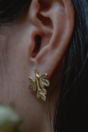 Brinco Arruda M Dourado