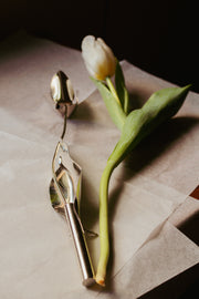 Tulipa Prateada