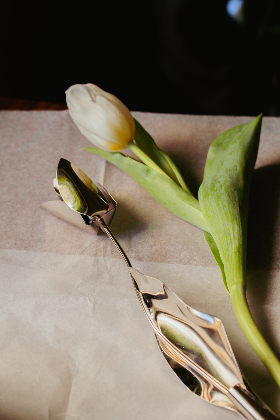 Tulipa Prateada