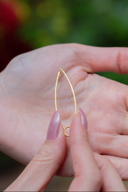Broche Peixe Dourado