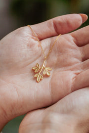 Colar Arruda M Dourado