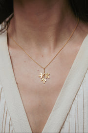 Colar Arruda M Dourado