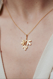 Colar Arruda M Dourado