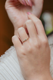 Anel Conexão Pétit Paraíba