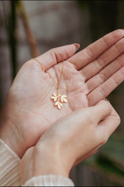 Colar Arruda M Dourado