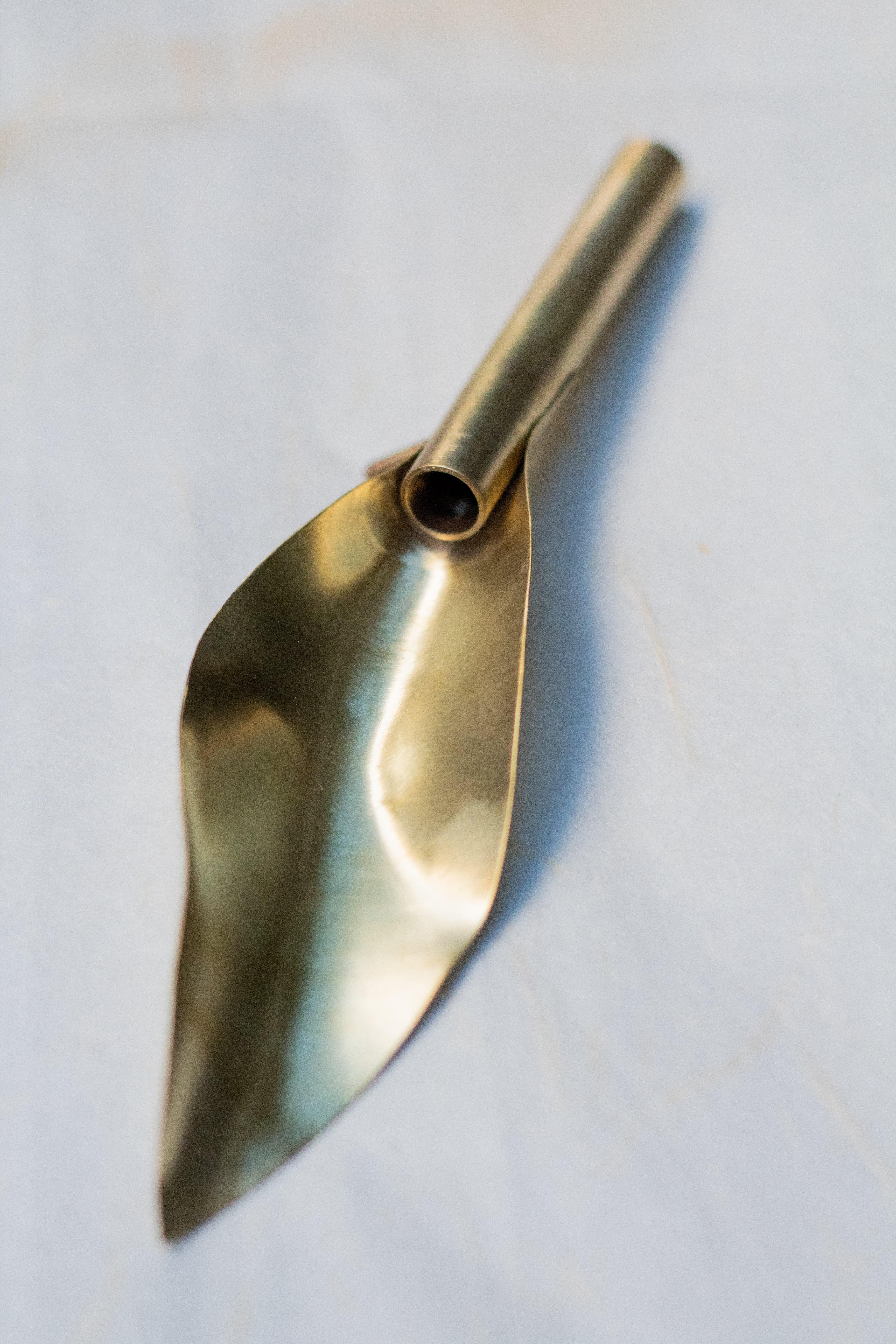 Vaso Tulipa