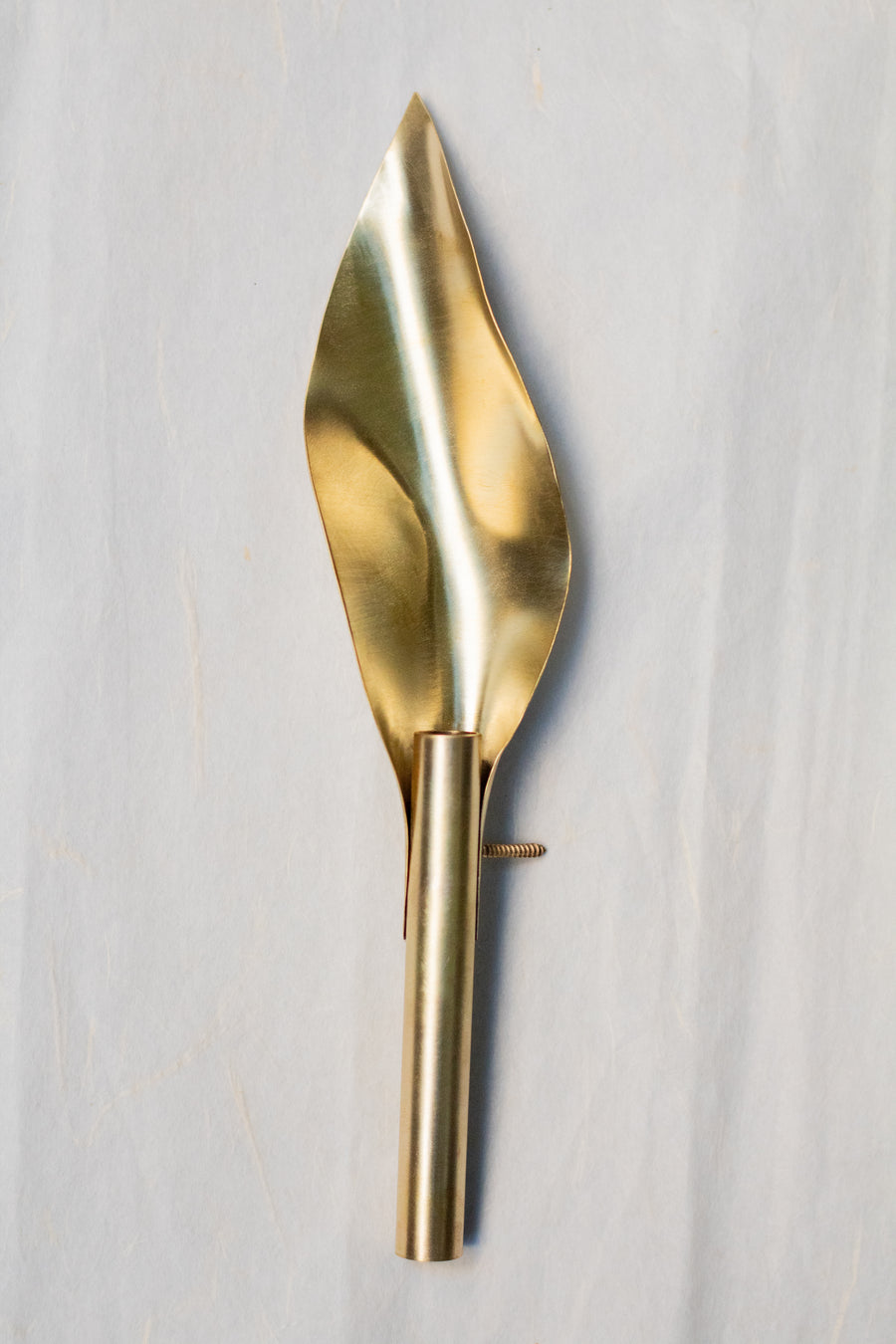 Vaso Tulipa