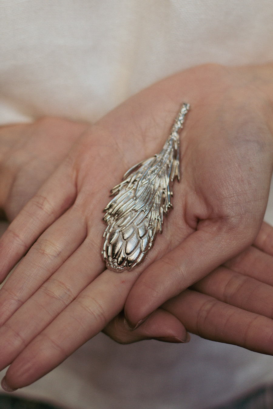 Protea Prata