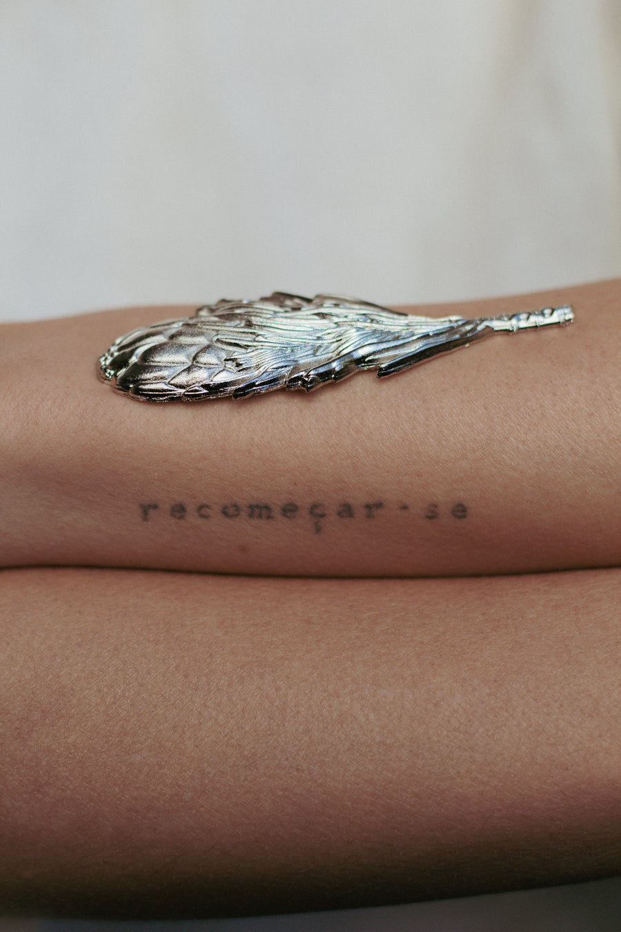 Protea Prata